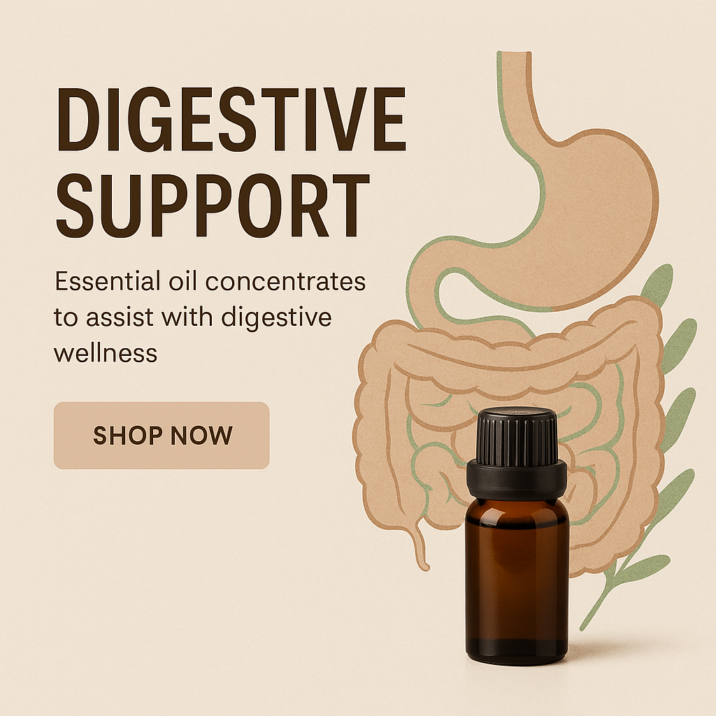 Illustration of the digestive system beside an amber essential oil bottle with text reading “Digestive Support – Essential oil concentrates to assist with digestive wellness,” set against a neutral beige background.