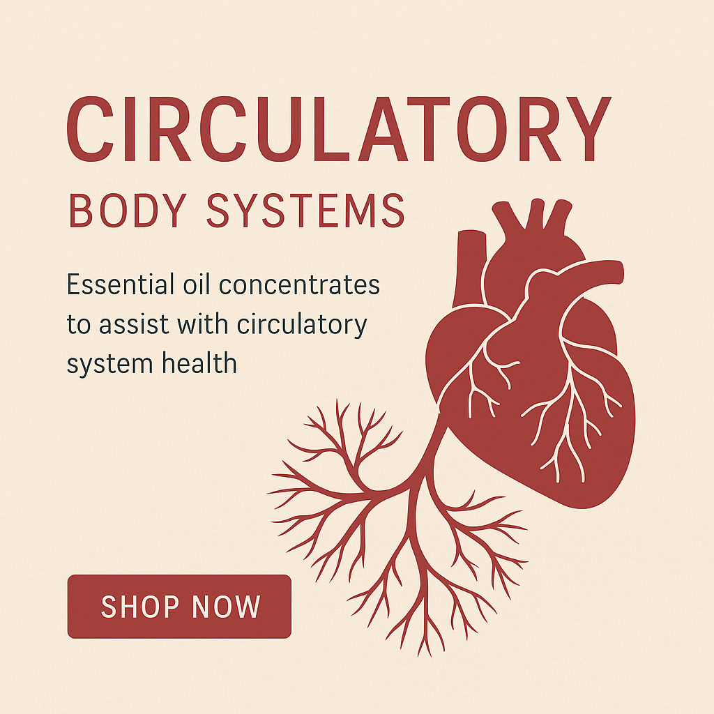 Stylized illustration of heart and veins promoting essential oil blends for circulatory system health